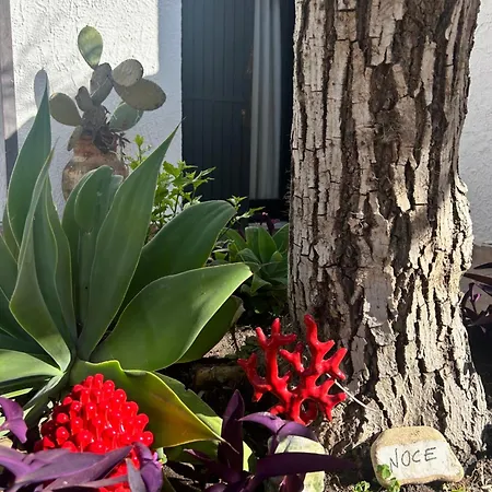 Casa Accanto Con Giardino E Quiete Apartament